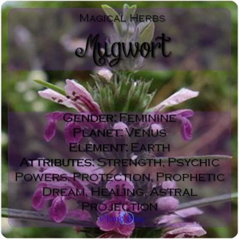 Mugwort Magical Meaning | Mugwort Magical Properties | Magical Herbs - Elune Blue