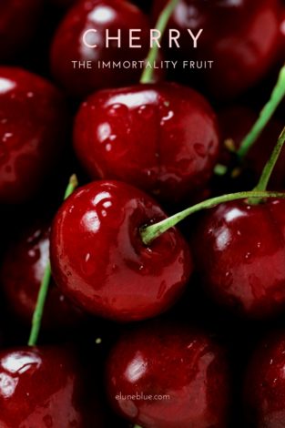 Cherry fruit has been associated magically and metaphysical with love and fertility, and it is an emblem of kindness and youth. -- Cherry Magical Properties
