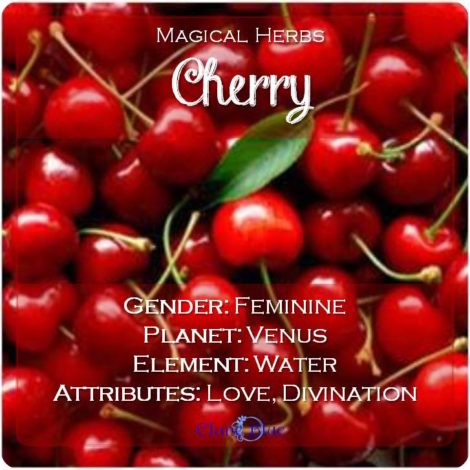 Magical Herbs Cherry - Elune Blue