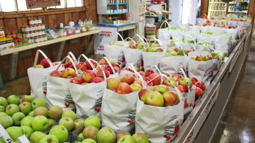 Bags full of red and green apples at the supermarket.