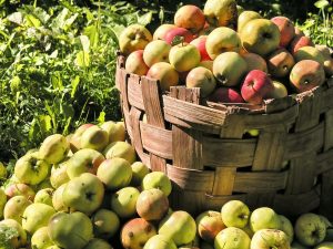 Herbal Magic | Apples
