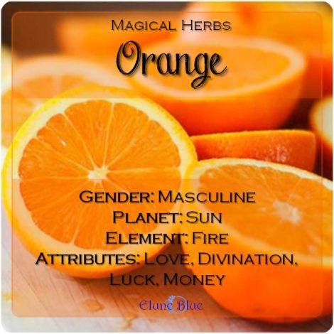 Magical Herbs Orange - Elune Blue