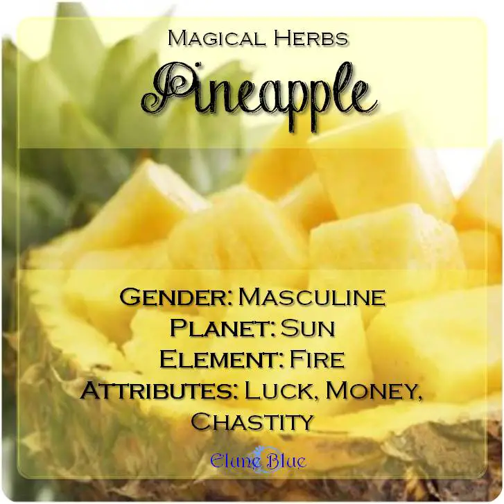 Magical Herbs Pineapple - Elune Blue