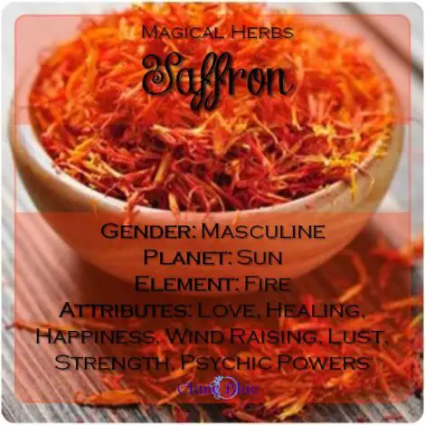 Magical Herbs Saffron - Elune Blue