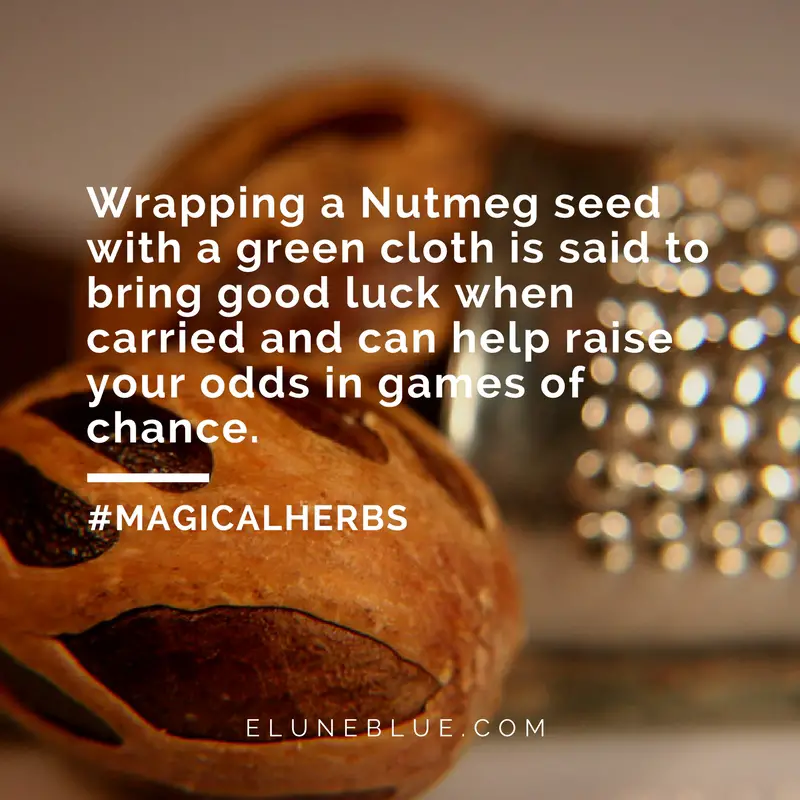 Wrapping a Nutmeg seed with a green cloth is said to bring good luck when carried and can help your odds in games of chance -- Nutmeg Magical Properties and Uses