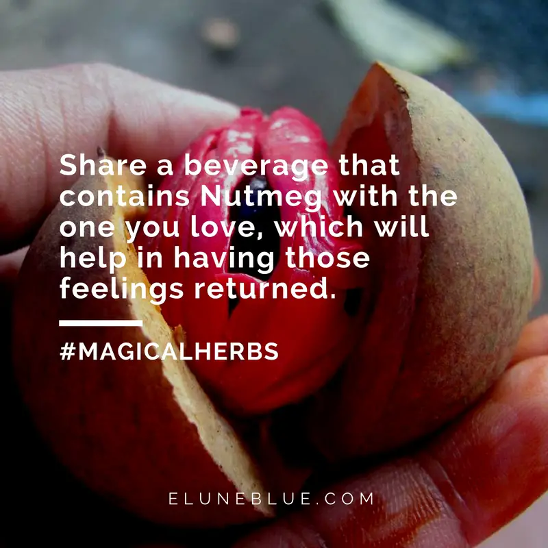 Share a beverage that contains Nutmeg with the one you love, which will help in having those feelings returned. -- Nutmeg Magical Properties and Uses