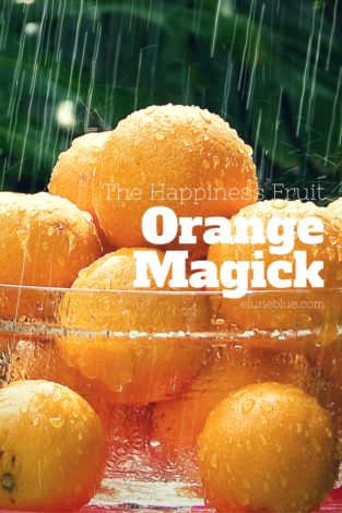 Oranges carry an uplifting and energizing energy, and can generate happiness and joy. They are linked to success and prosperity. -- Orange Magical Properties