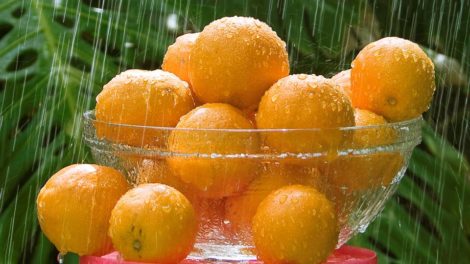 Oranges in Rain - Orange Magical Properties - Elune Blue
