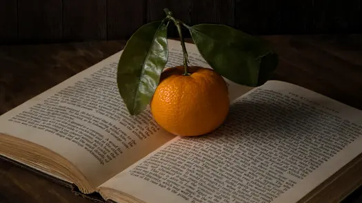 An orange with leafy stem still attached, resting on an open book.