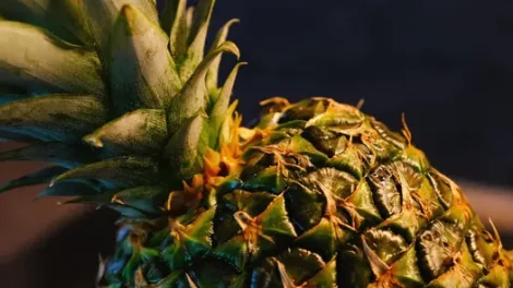 A close-up on a pineapple and a pineapple crown.