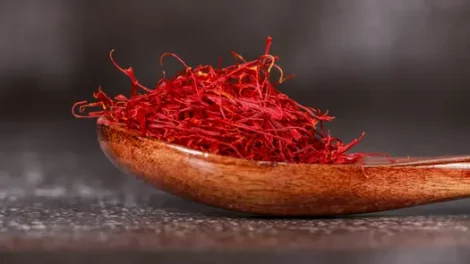 Red Saffron spice on a wooden spoon.