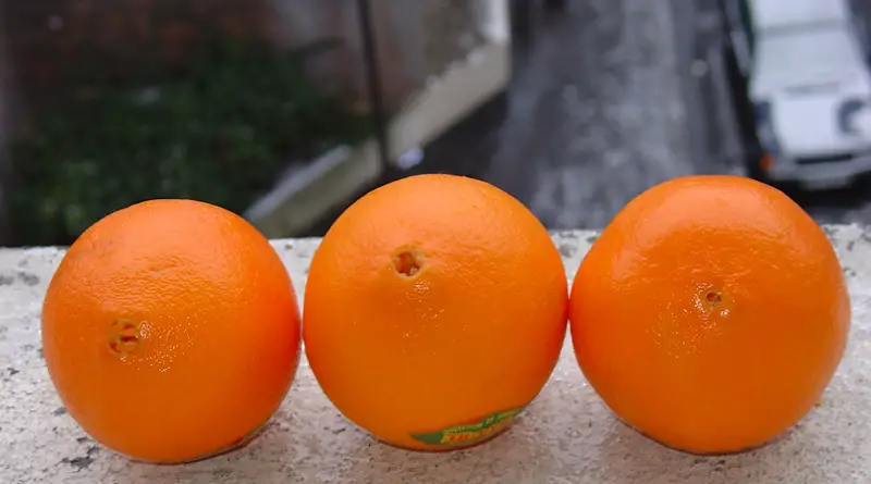 Three oranges sitting on a ledge outside.