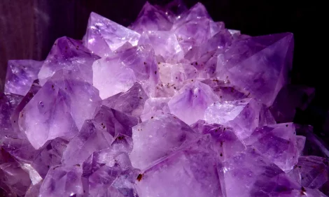 A luminescent amethyst crystal cluster.