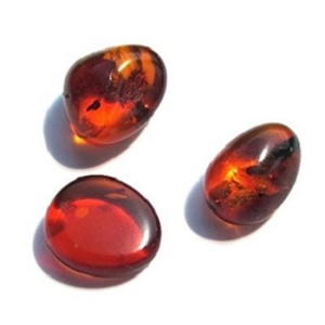 Amber Gemstones from Ian and Valeri Co