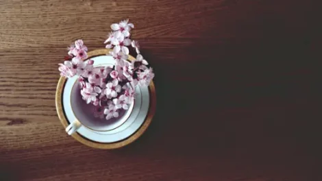 A bird's-eye view of cherry blossoms in a teacup.