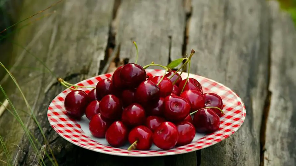 Cherry fruit has been associated magically and metaphysical with love and fertility, and it is an emblem of kindness and youth. -- Cherry Magical Properties