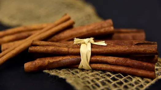 Bundles of cinnamon sticks on a woven cloth.