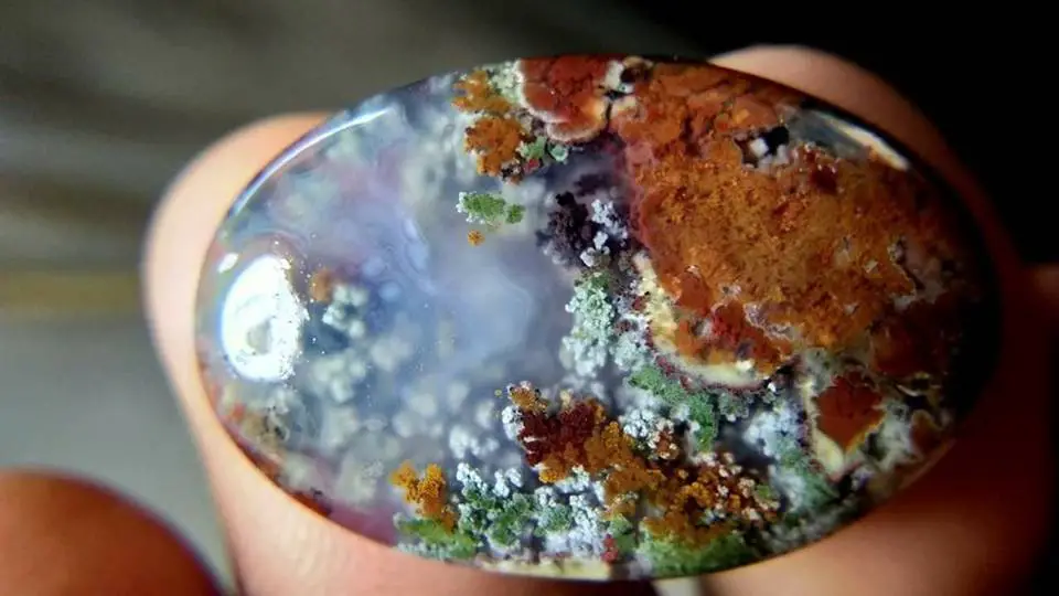 The Gardener's Stone: Moss Agate Meaning and Uses -- Crystal Meanings