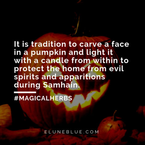 It is tradition to carve a face in a pumpkin and light it with a candle from within to protect the home from evil spirits and apparitions during Samhain. -- Pumpkin Magical Properties and Uses
