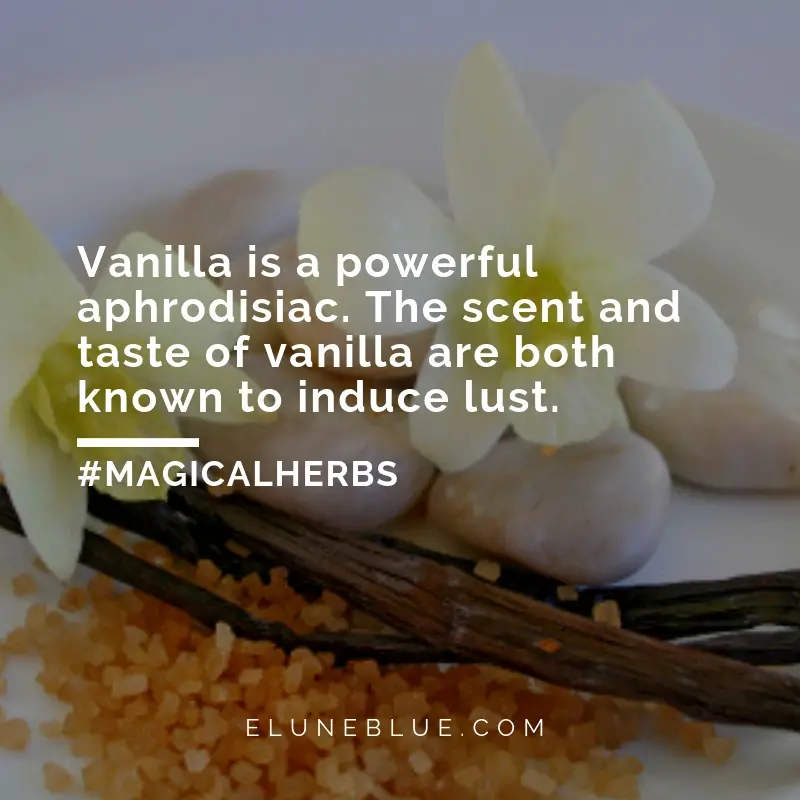 Vanilla is a powerful aphrodisiac. The scent and taste of vanilla are both known to induce lust. -- Vanilla Magical Properties and Uses
