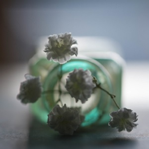 Baby's Breath flowers in a Green Jar