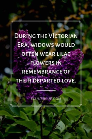 During the VIctorian Era, widows would often wear lilac flowers in remembrance of their departed love. -- Lilac Magical Properties and Uses