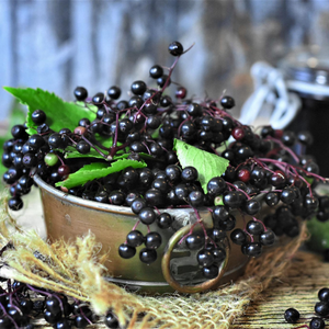 Elderberries in a silver bowl, with a jar of elderberry juice in the background.