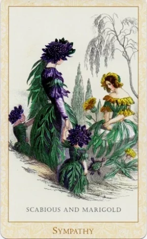 A scabious flower and marigold flower depicted with human features. The Marigold looks to be in mourning while the Scabious flower is comforting her.