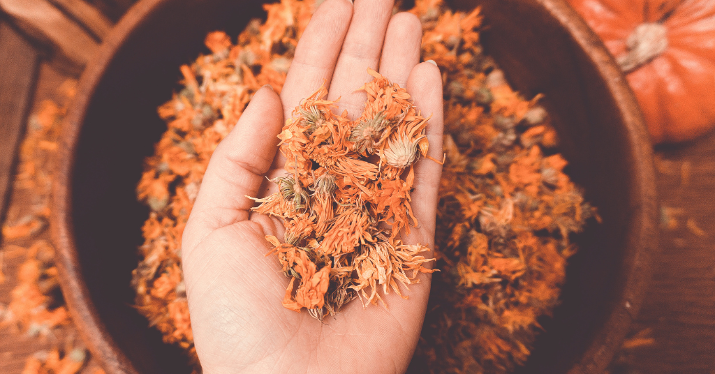 A hand holding a handful of dried Calendula flowers over a bowl.