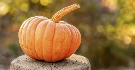 A pumpkin sitting on a wooden stump.