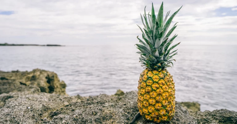 A pineapple sitting on rocks near a body of water.