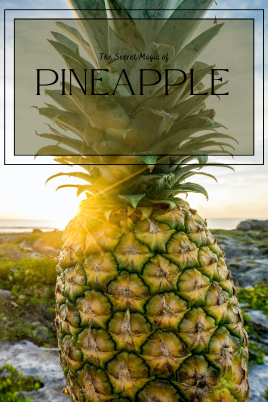 A pineapple sitting on green plants near the sea at sunset. In the foreground, the text reads: "The Secret Magic of Pineapple."