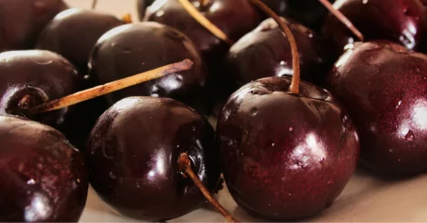 Close-up on black cherries with water droplets.