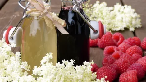 Two jars with one full of elderflower syrup and another full of elderberry syrup, near elderflowers and raspberries.