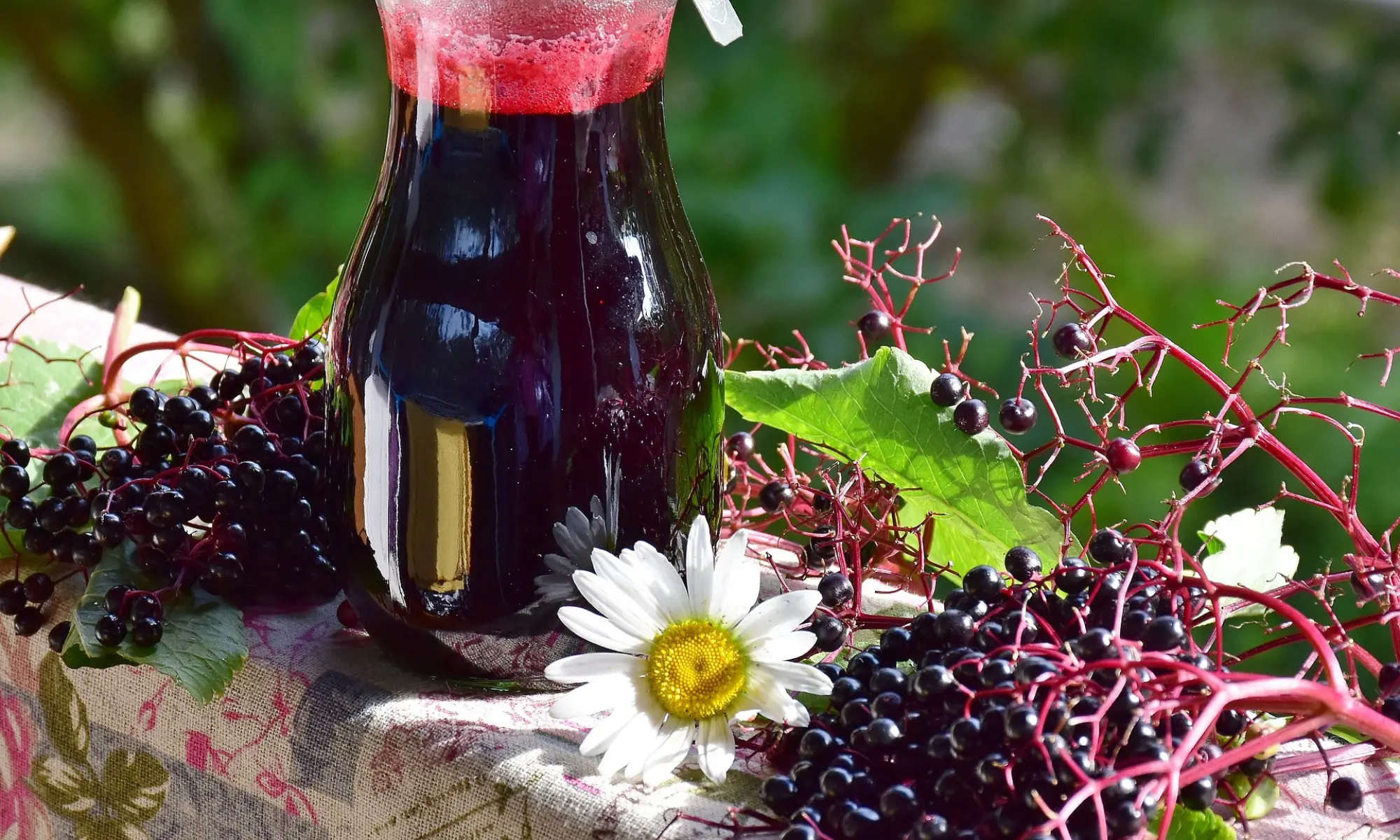 A jar of elderberry juice sitting on a ledge near elderberries on branches and a daisy.