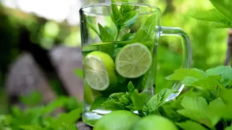 A clear mug full with mint, lime and water, resting amidst mint plants outside.