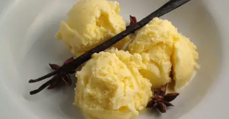 Vanilla bean ice cream decorated with star anise seeds and a vanilla bean on top.