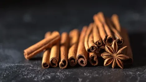 A row of cinnamon sticks with a piece of star anise.