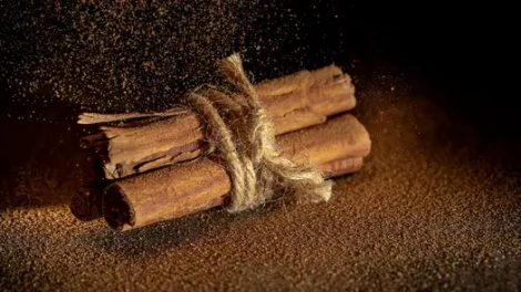 A bundle of cinnamon sticks held together by twine, with ground cinnamon being dusted on it.