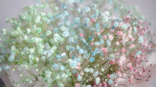 A bouquet of green, light blue and light pink baby's breath flowers.