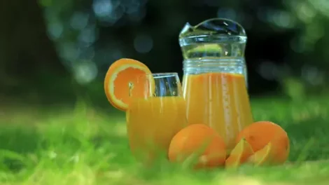 A pitcher and glass full of orange juice, near whole oranges sitting on grass.