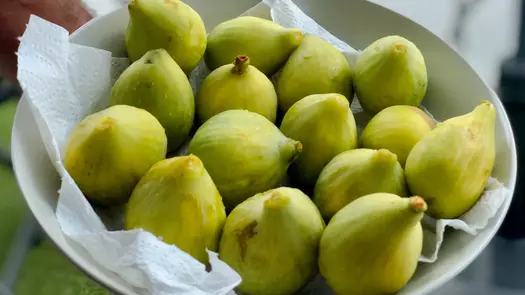 Green figs on a white ceramic bowl lined with paper towel.
