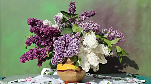 A tan and yellow vase full of white, purple, and magenta lilac flowers.