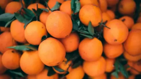 Orange fruits under selective focus photography.