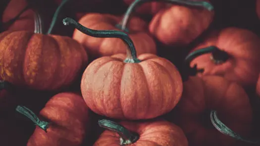 A photo of orange pumpkins taken with a selective focus lens.