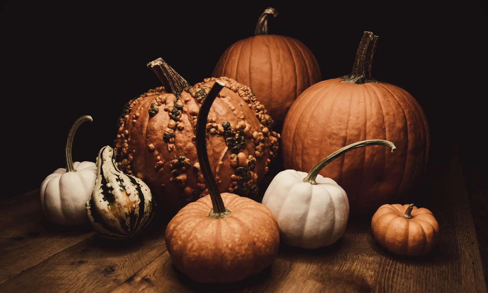 An assortment of different types of pumpkins.