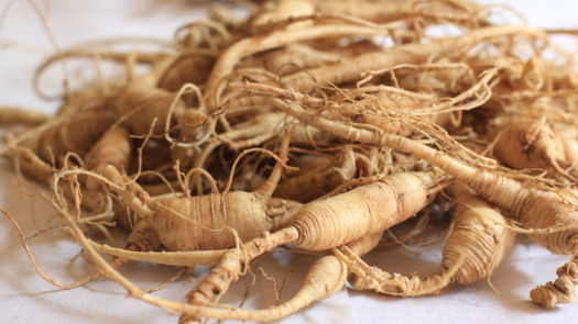 Ginseng roots on a white surface.