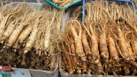 Two types of ginseng in plastic baskets at a market.